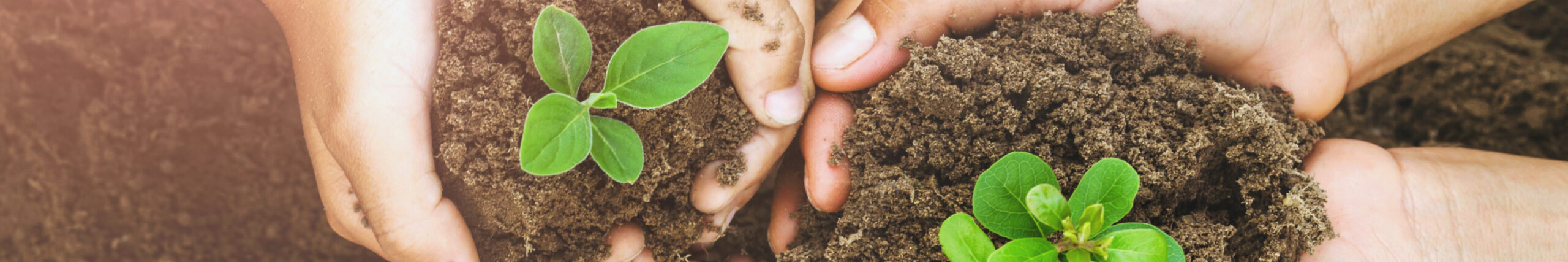 社会への取り組み