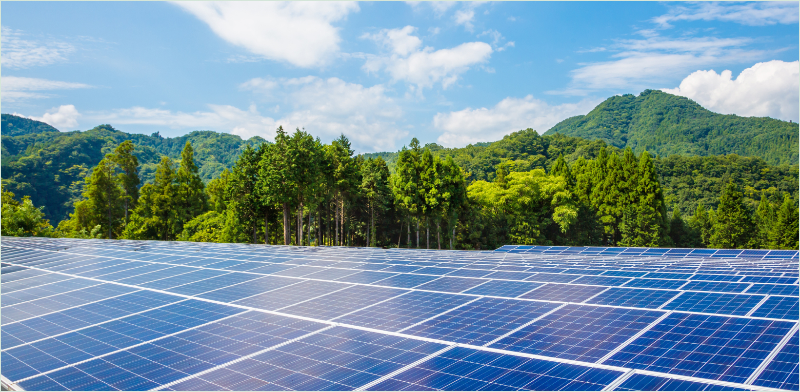 太陽光発電所買取