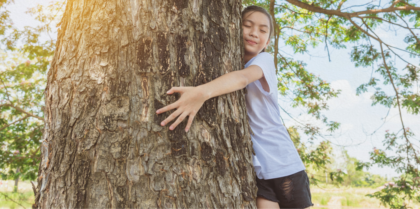 木に抱きつき、目を閉じて自然を感じている女の子